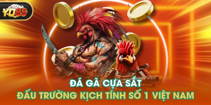 Đá Gà Cựa Sắt - Đấu Trường Kịch Tính Số 1 Việt Nam