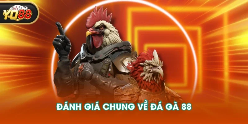 Đánh giá chung về đá gà 88