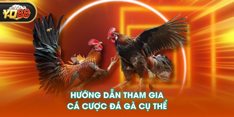 Hướng dẫn tham gia cá cược đá gà cụ thể